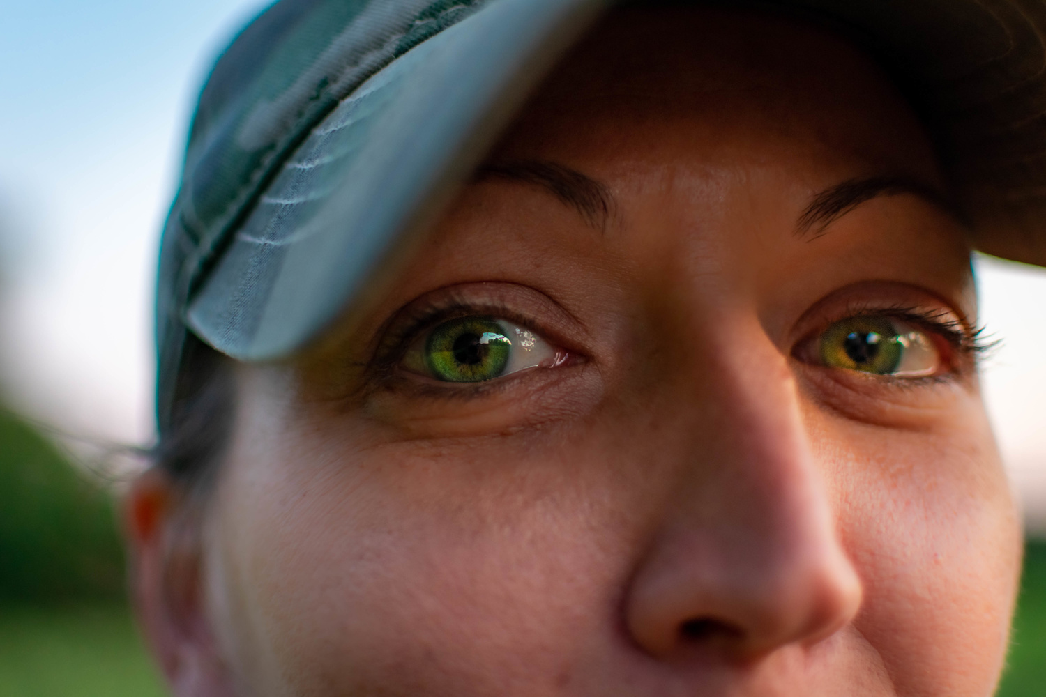 View The eyes by Brad Humphries