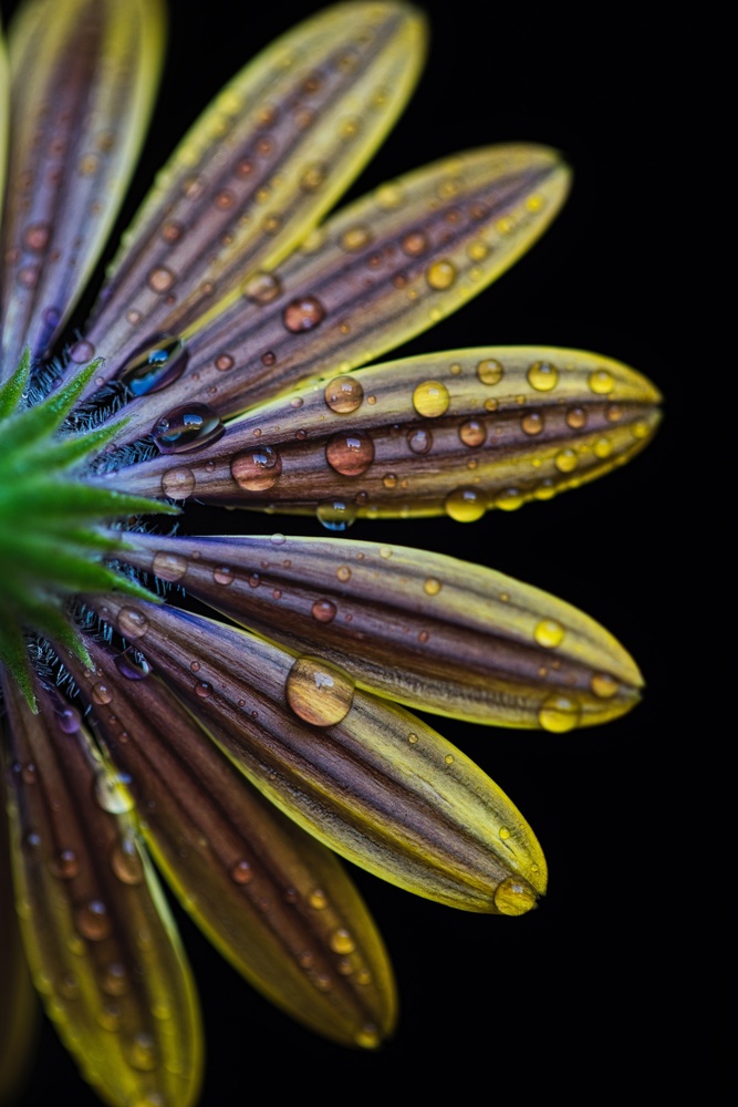 View Untitled 1 by Darren Gentle