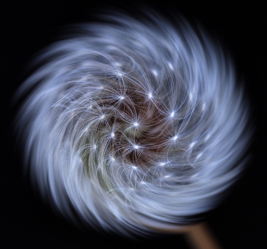 View Untitled 2 by Darren Gentle