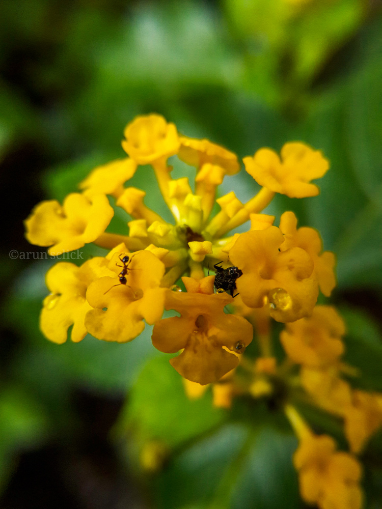View Untitled 2 by Arun Venugopal