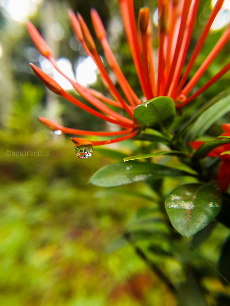 View Untitled 3 by Arun Venugopal