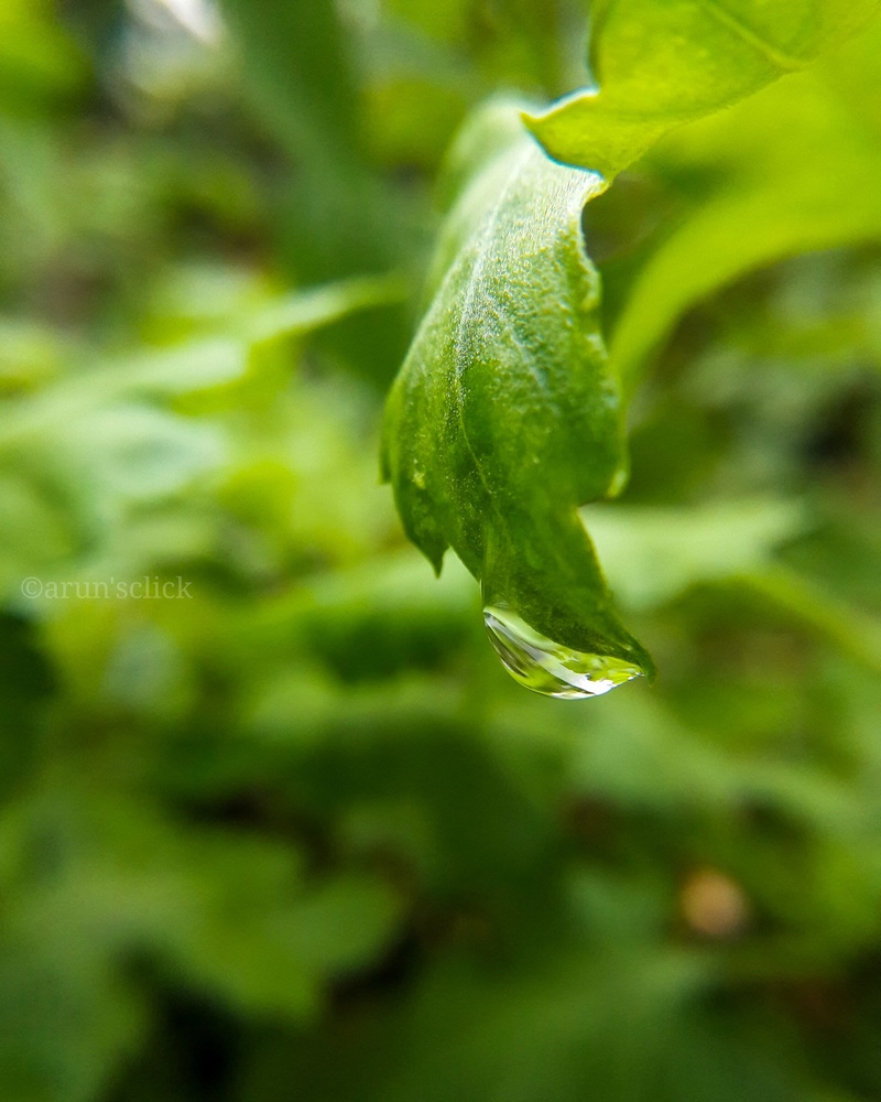 View Untitled 1 by Arun Venugopal