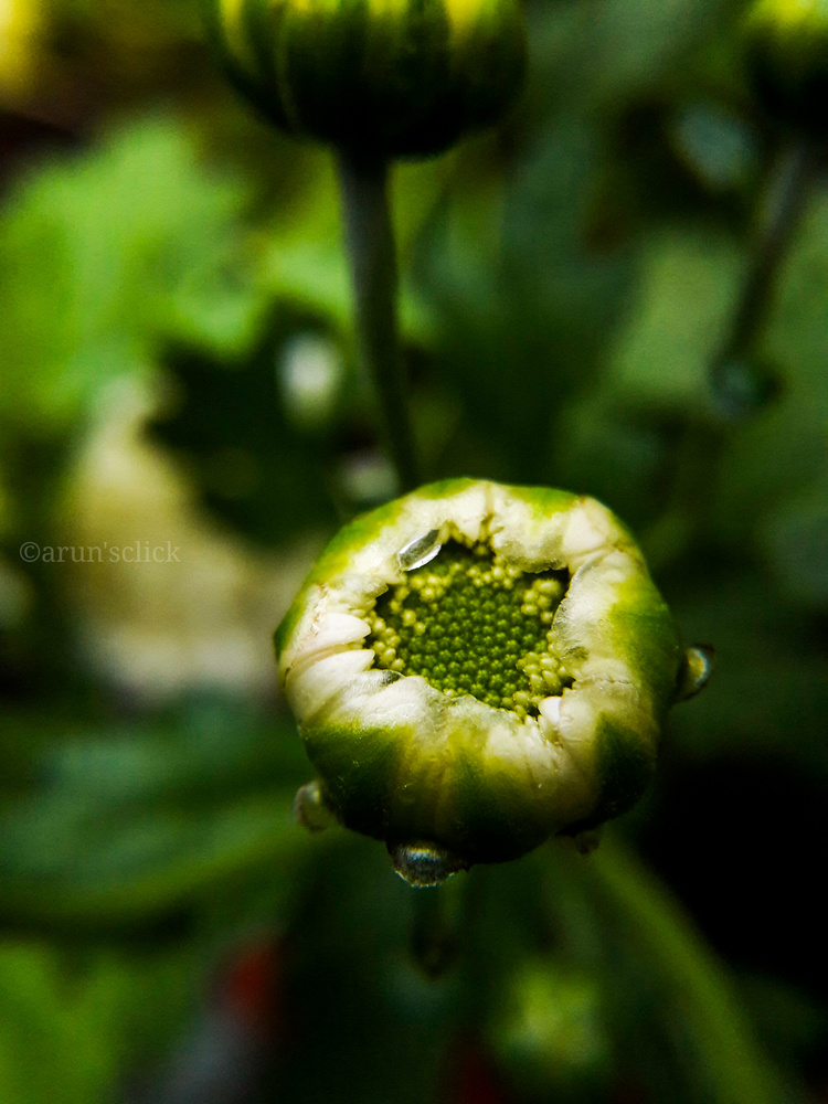 View Untitled 4 by Arun Venugopal
