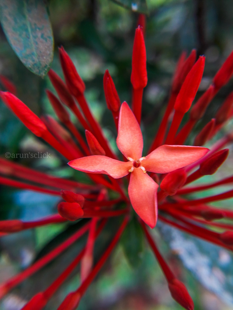 View Untitled 5 by Arun Venugopal