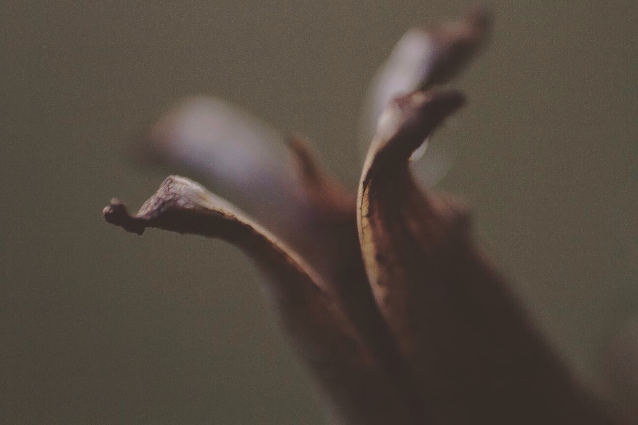 View Untitled 1 by Kle Graul