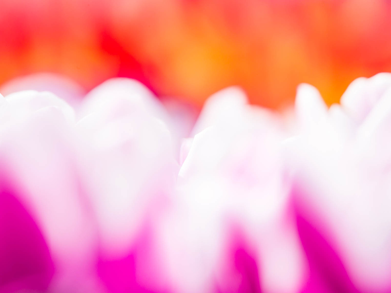 View Untitled 1 by Daniel Geier