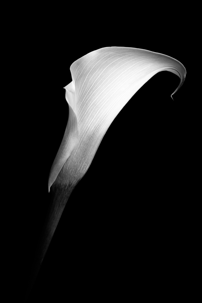 View Untitled 1 by Tim Huesgen