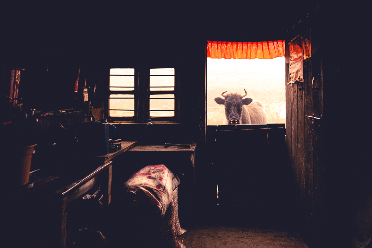 View Untitled 5 by Aditya Bhadra