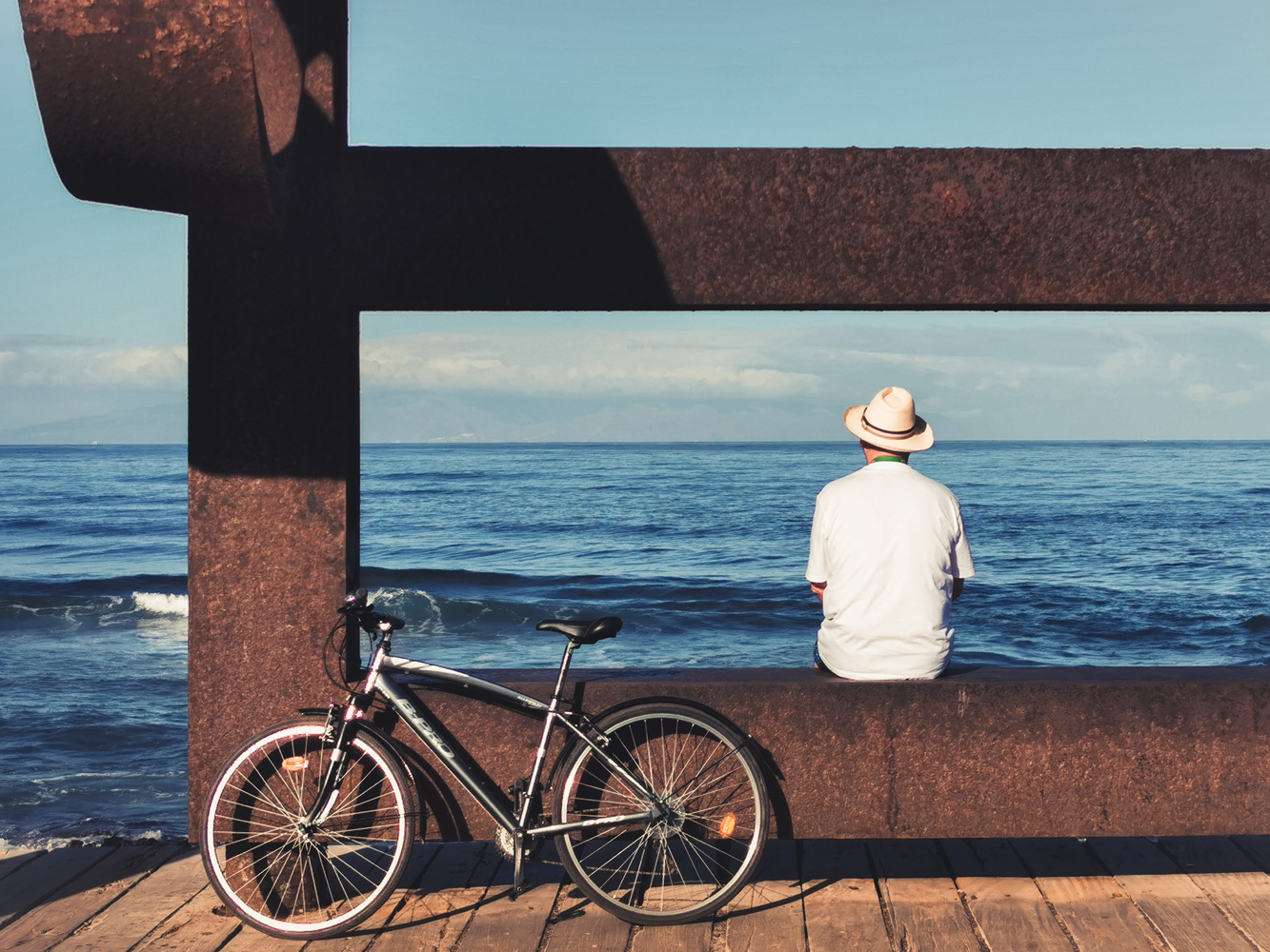 View A man, his bike and the ocean by Costin Mocanu