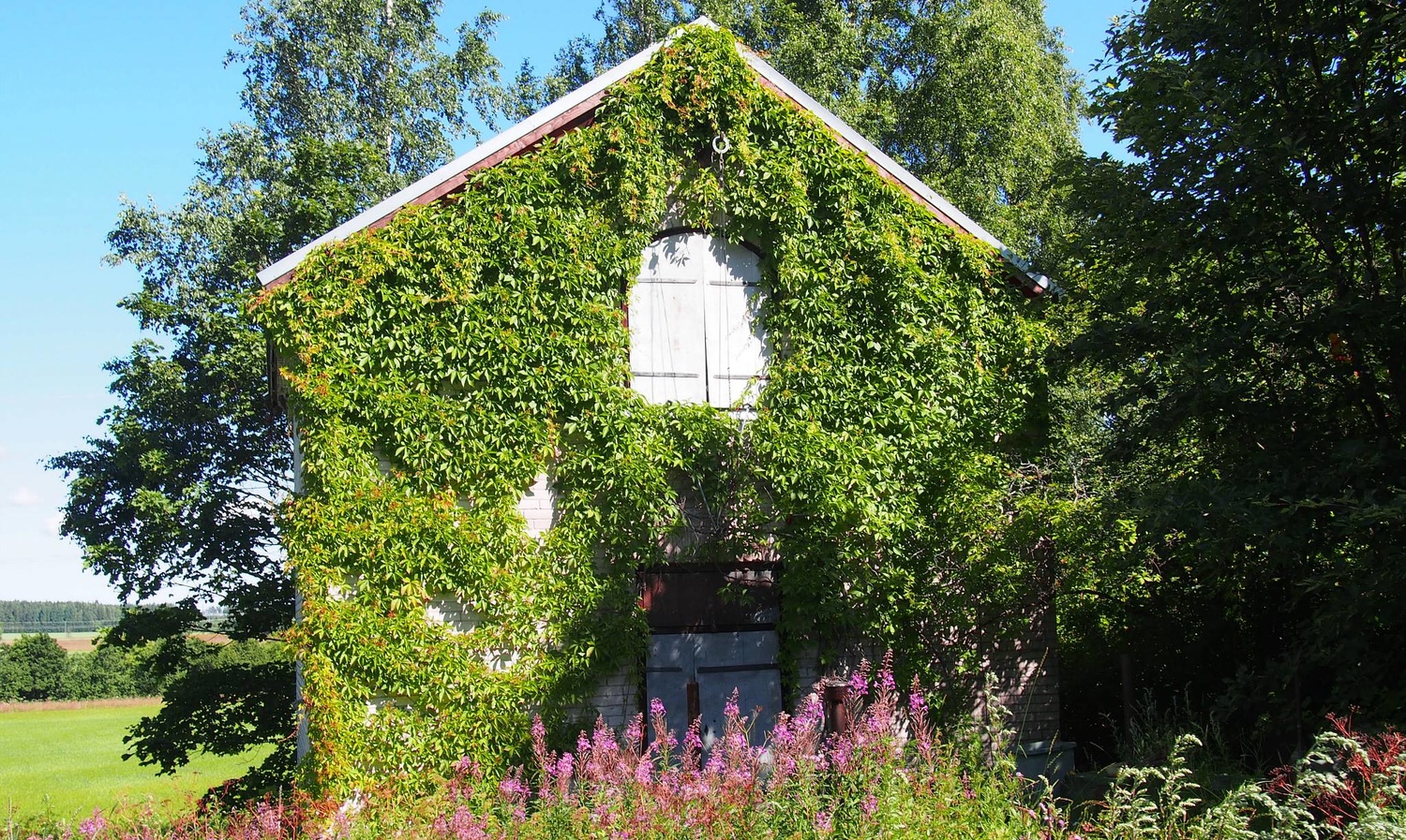 View It was our home by Eero Muhonen