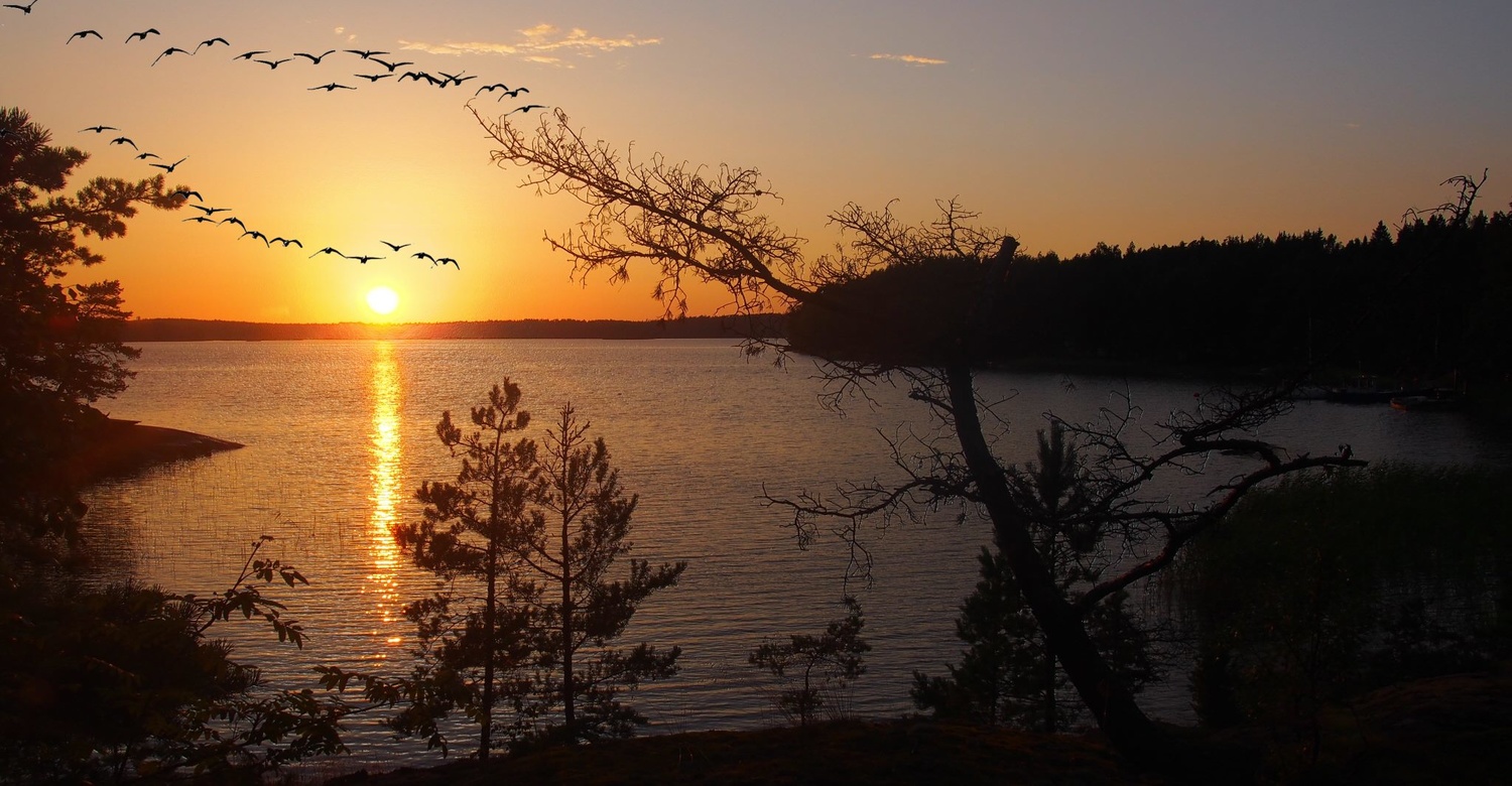 View Nigthfall in Finland. by Eero Muhonen