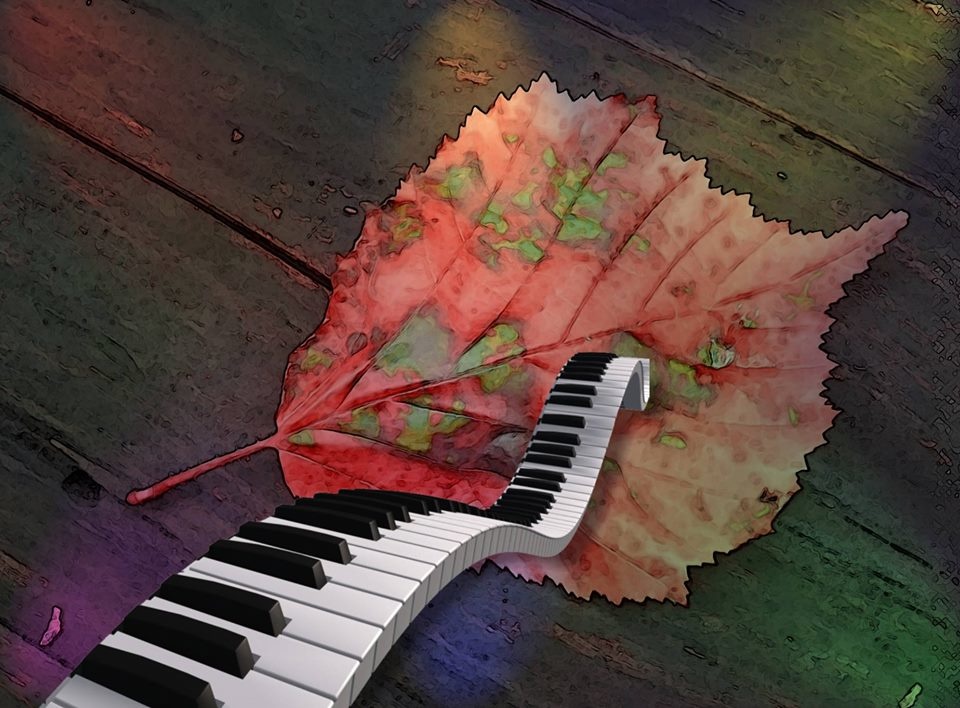 View The sound of fall. by Eero Muhonen