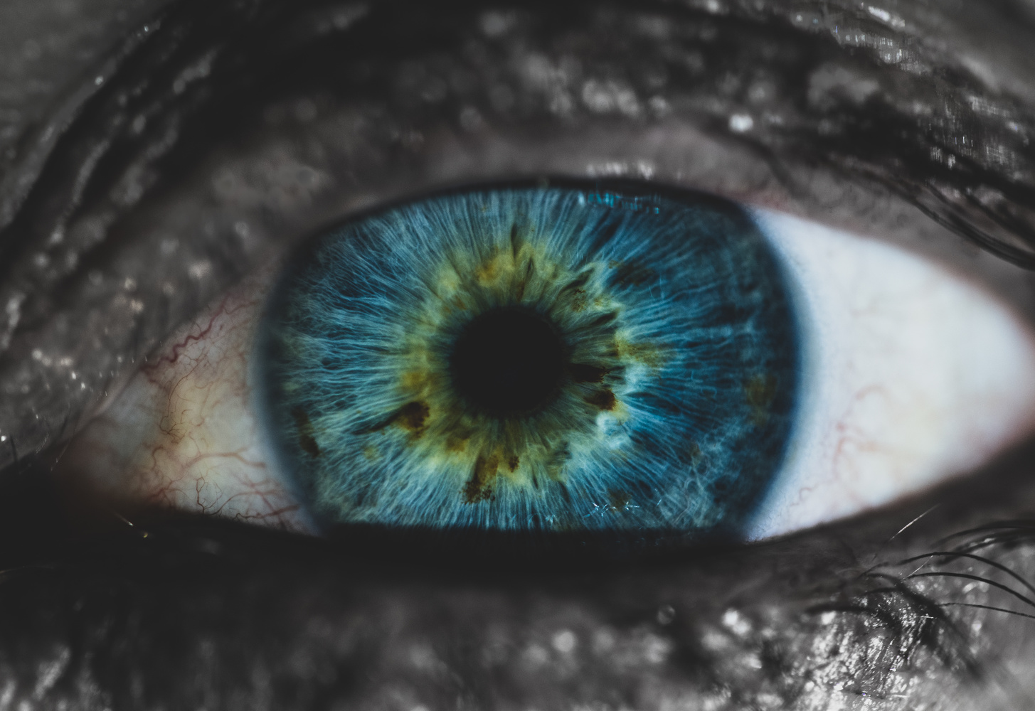 View Untitled 1 by Jade Edwards