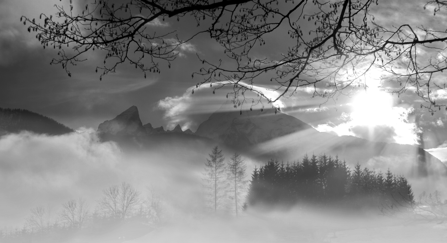 View Untitled 1 by Marco Hoeller