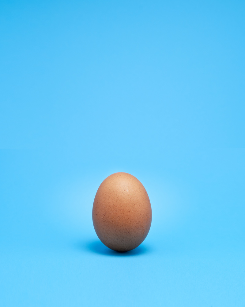 View Egg by Phillip Walsh