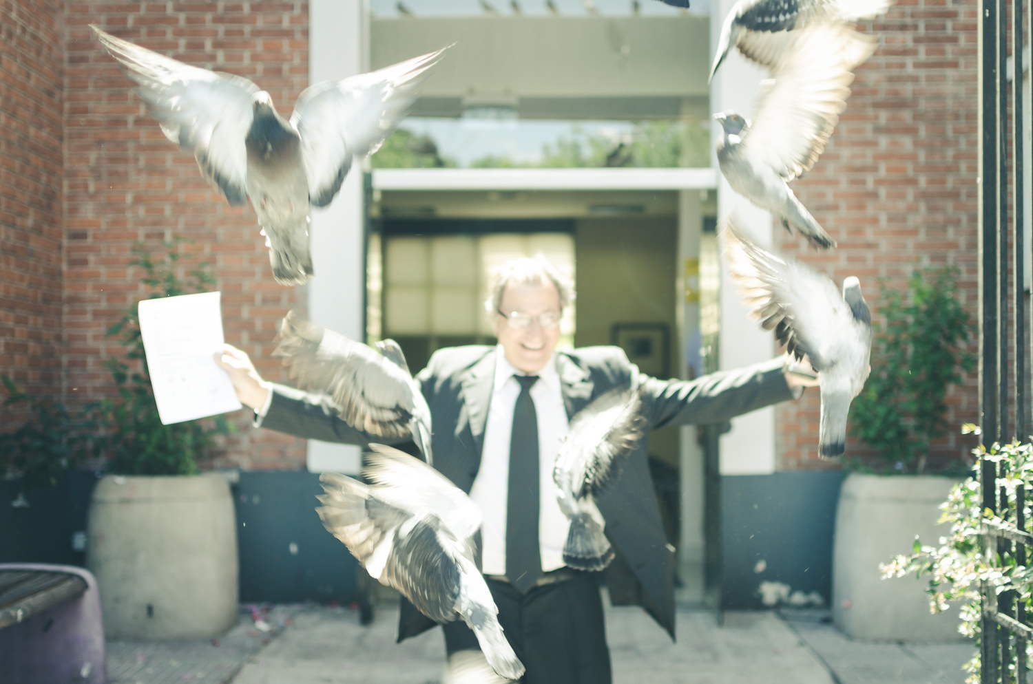 View Doves at Civil Weeding by Cristian Corvalan