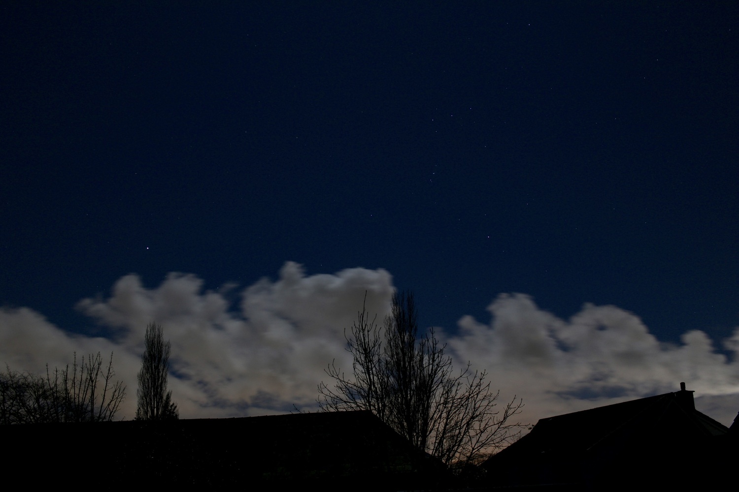 View Moonlight by Dan Shields
