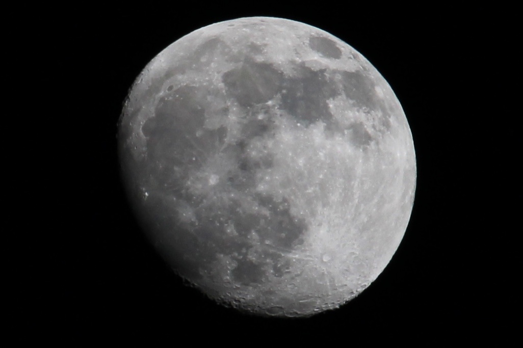 View Moon from the back yard by Dan Shields