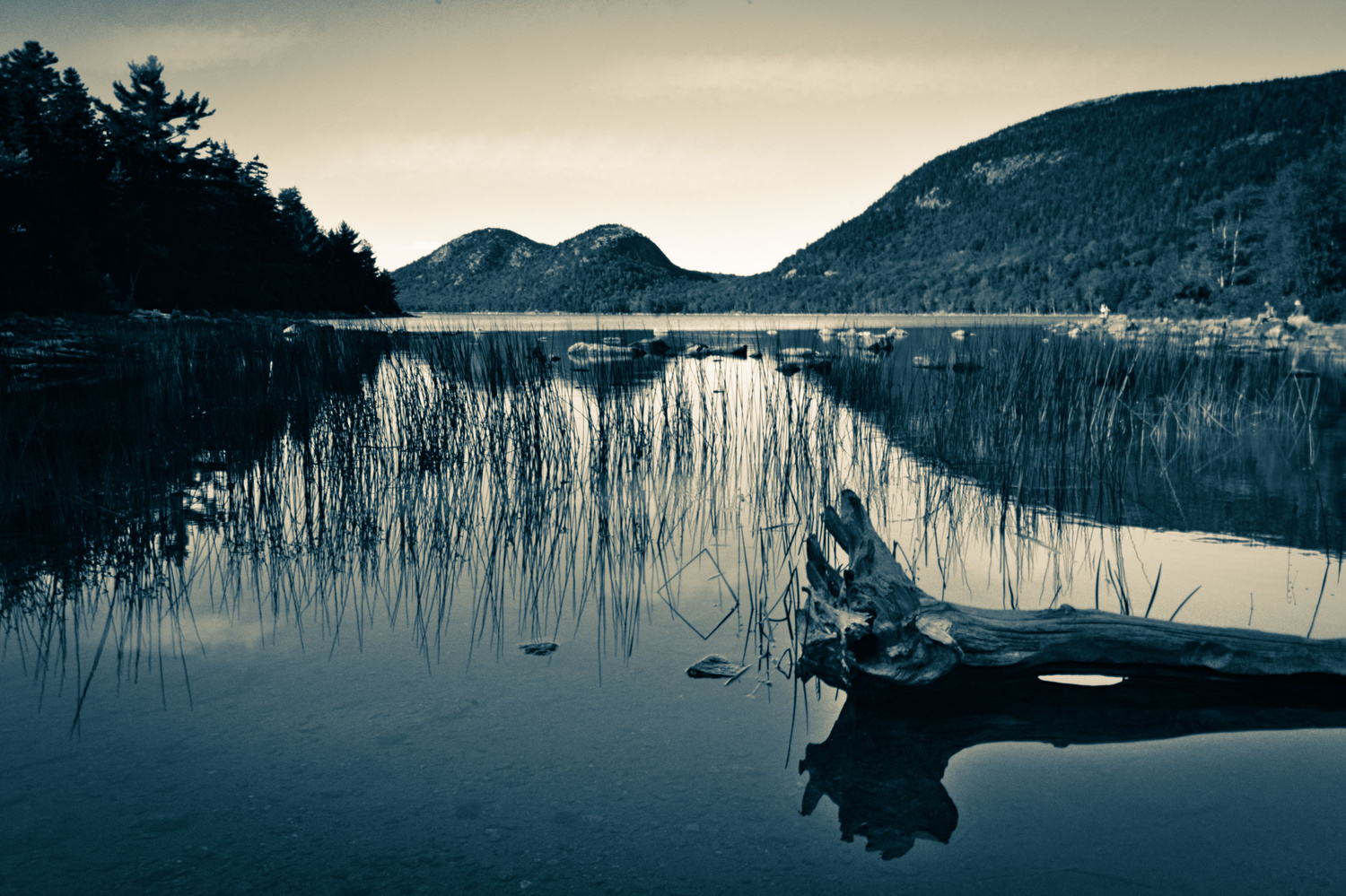 View Jordan Pond by Anirban Banerjee