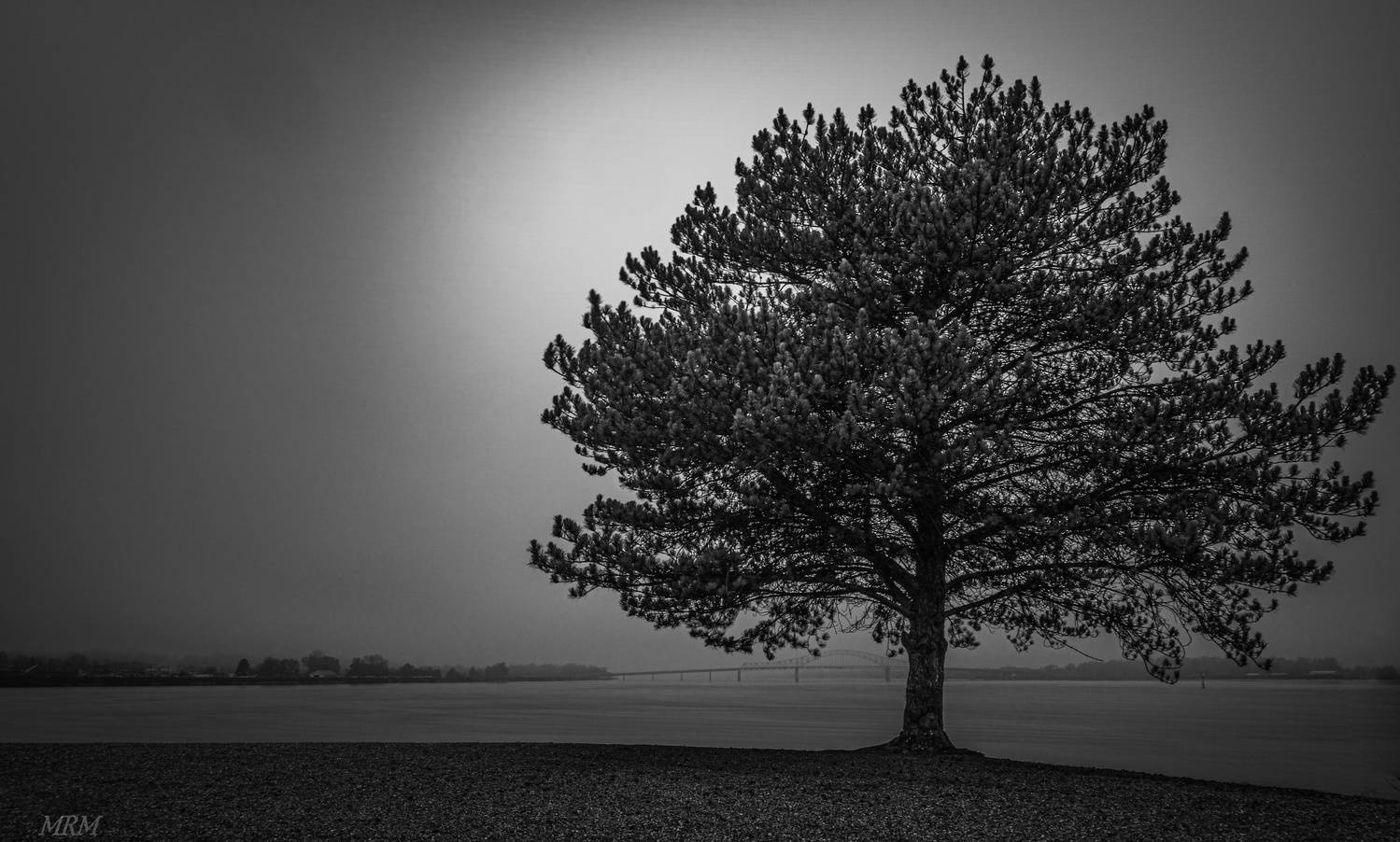 View Untitled 1 by Matt Matthews