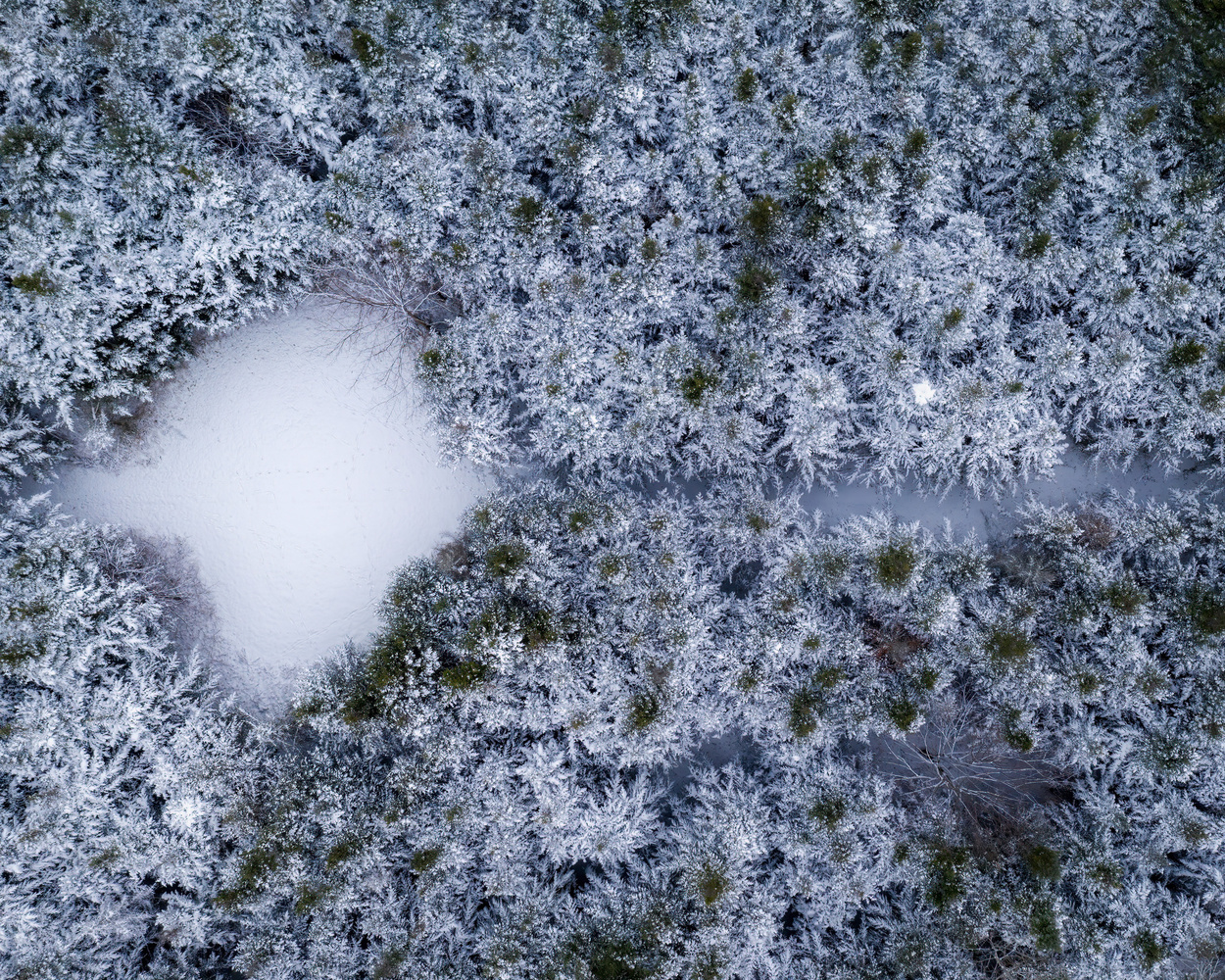 View Winter by Skyler Ewing