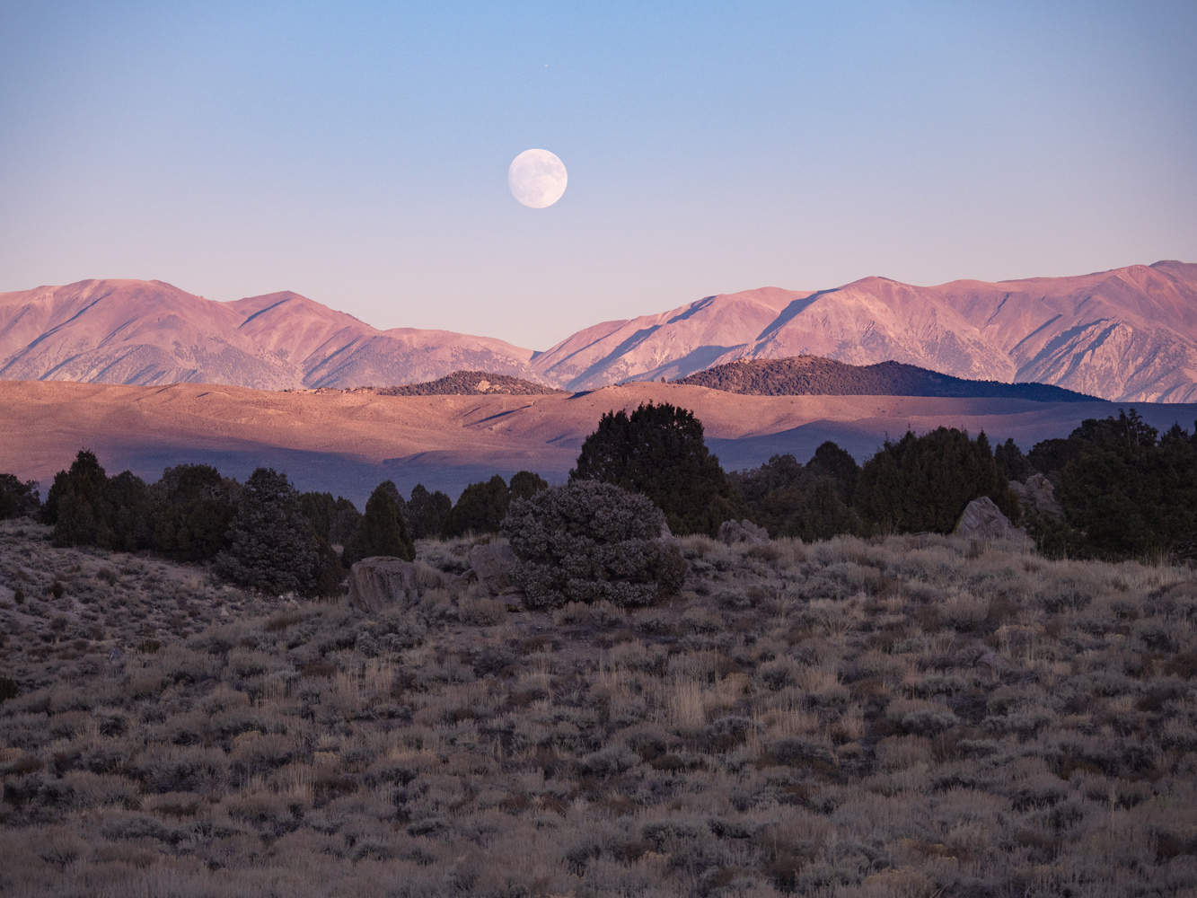 View Bishop Moonrise by John Goddard