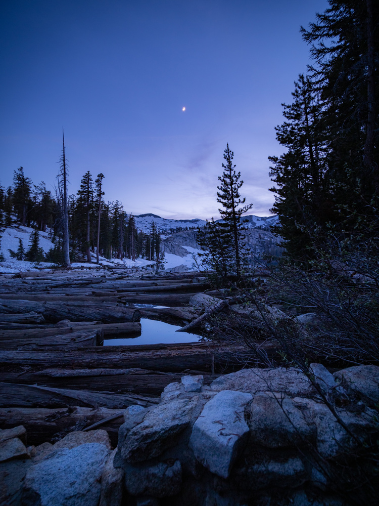 View A Moonrise Kingdom by John Goddard