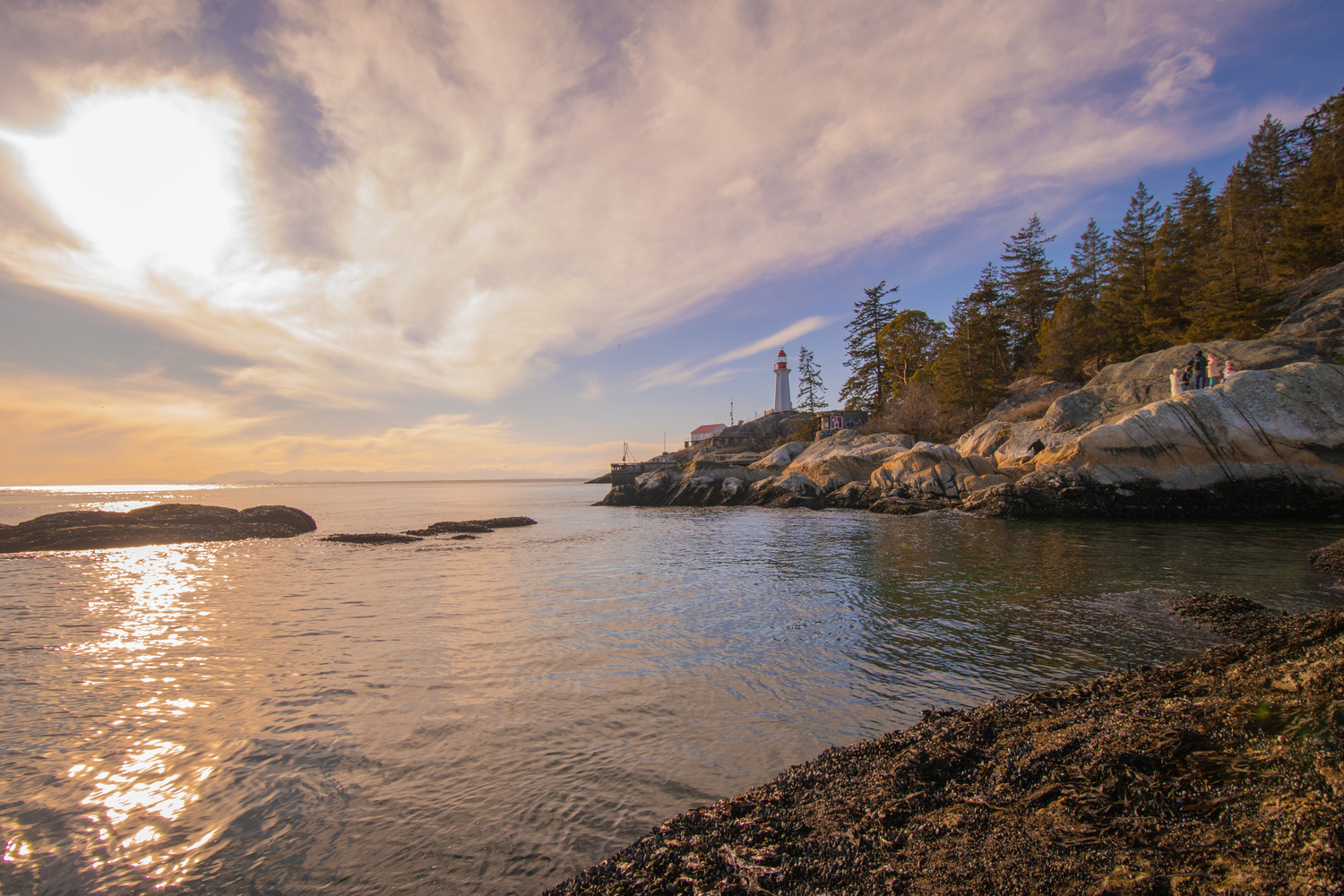 View Lighthouse by Sam Rost