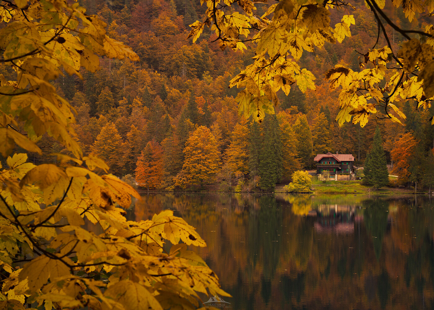Golden autumn foliage frames a lakeside cabin nestled among evergreen forest with mirror reflections in still water