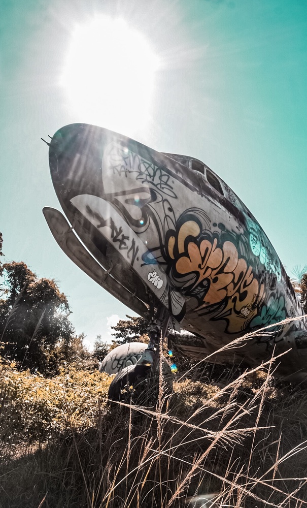 View Abandoned plane 2 by Jason Santiago
