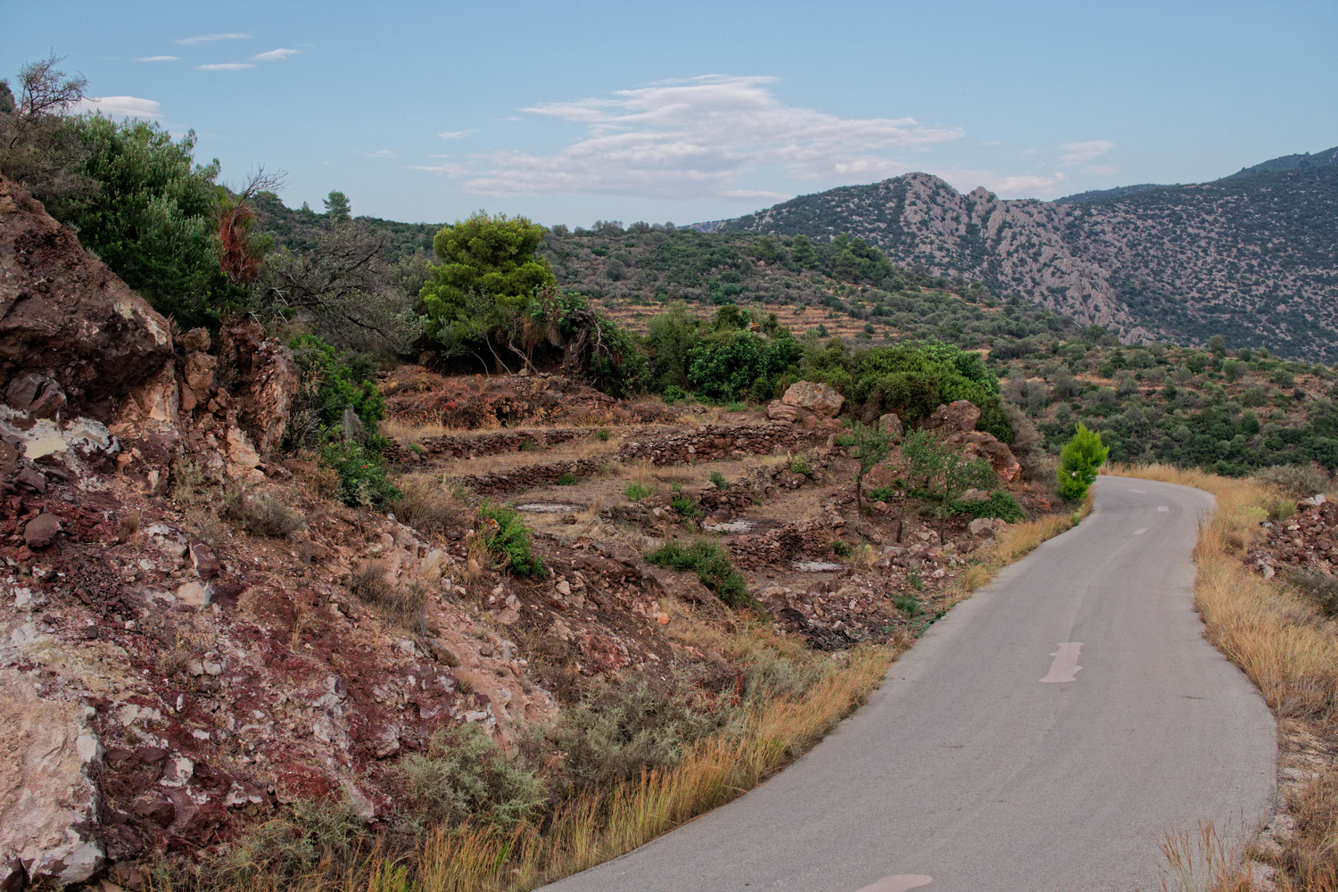 View Road to the mountains by Eliott Engel