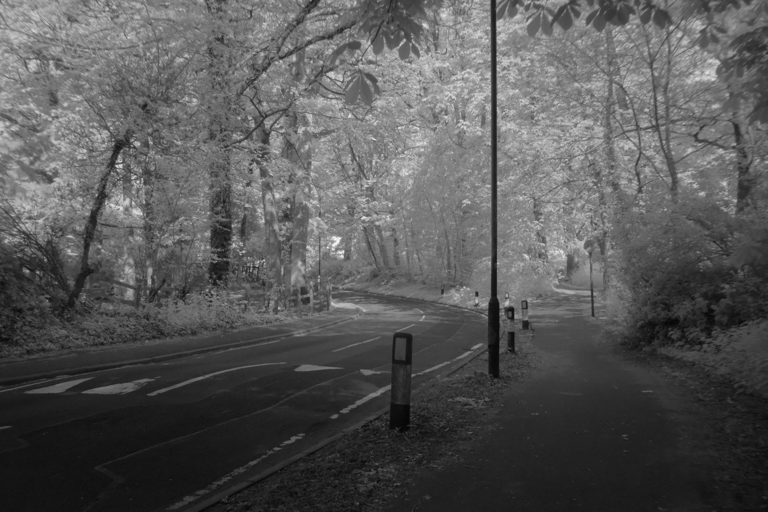 View Infrared tunnel by Eliott Engel