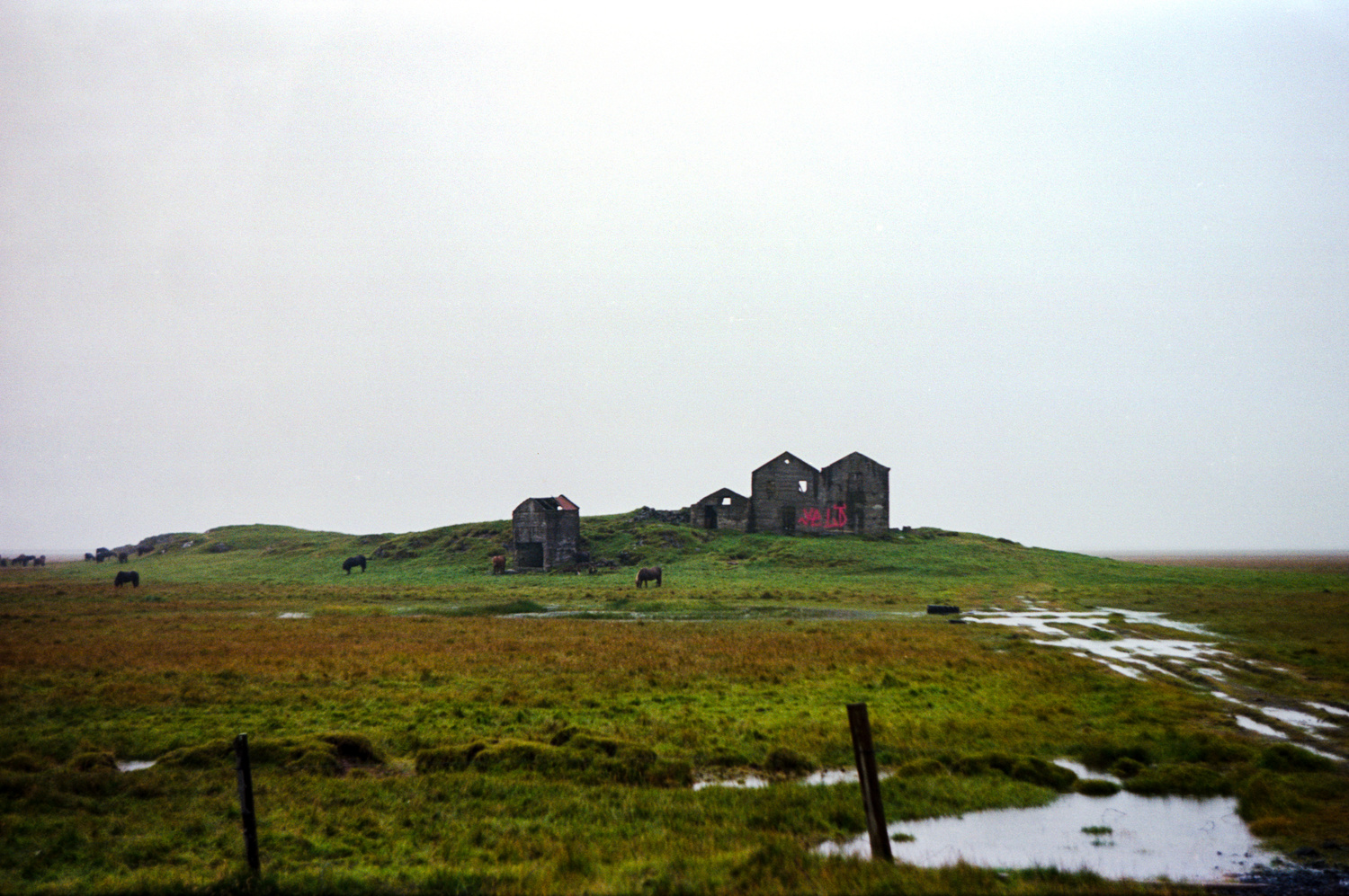 View The Icelandic wilderness by Anthony Mizzi