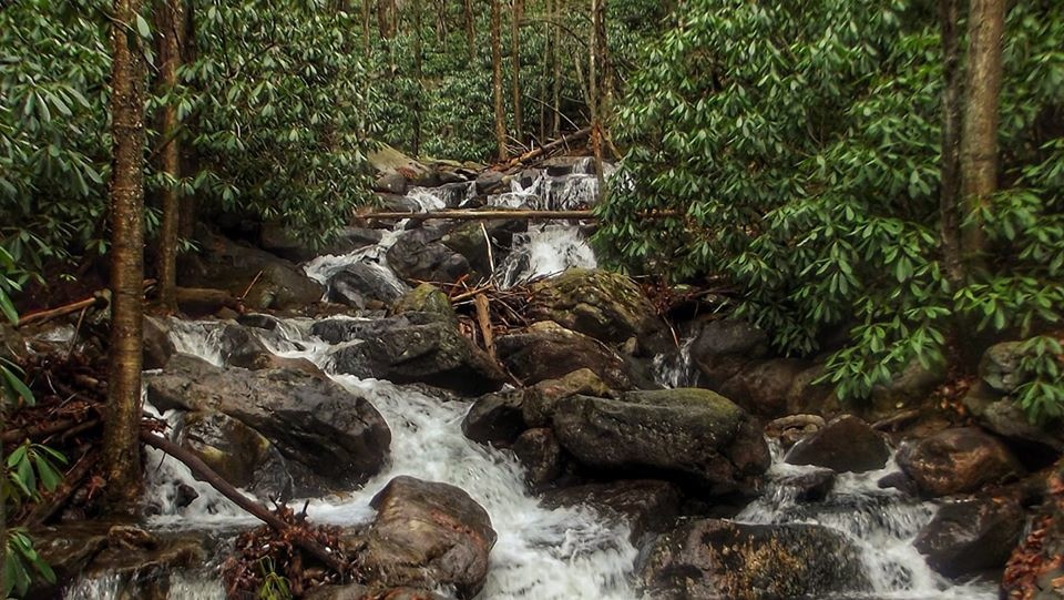 View Down Stream by Chris Chaffin