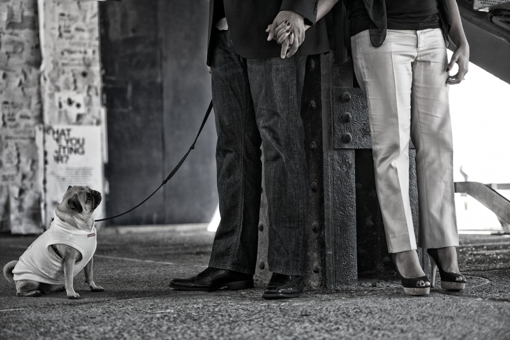 View Engagement Sample 3 by Omar Lopez