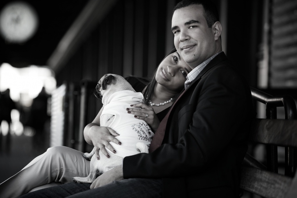 View Engagement Sample 6 by Omar Lopez