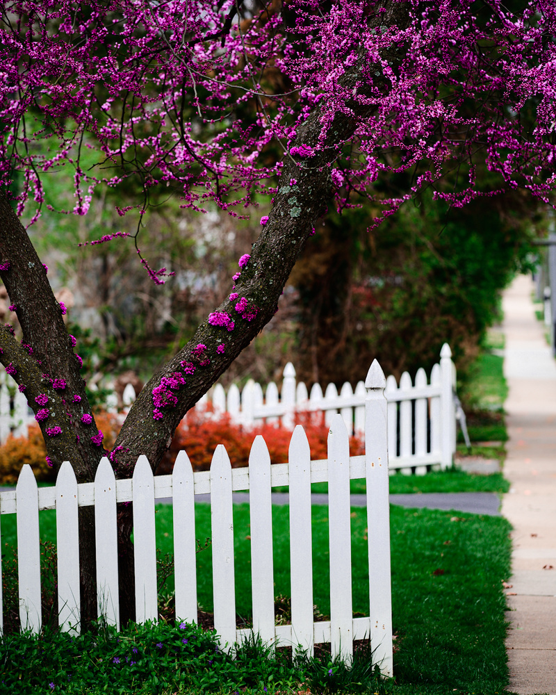 View Neighborhood Landscape by Elvis Martinez