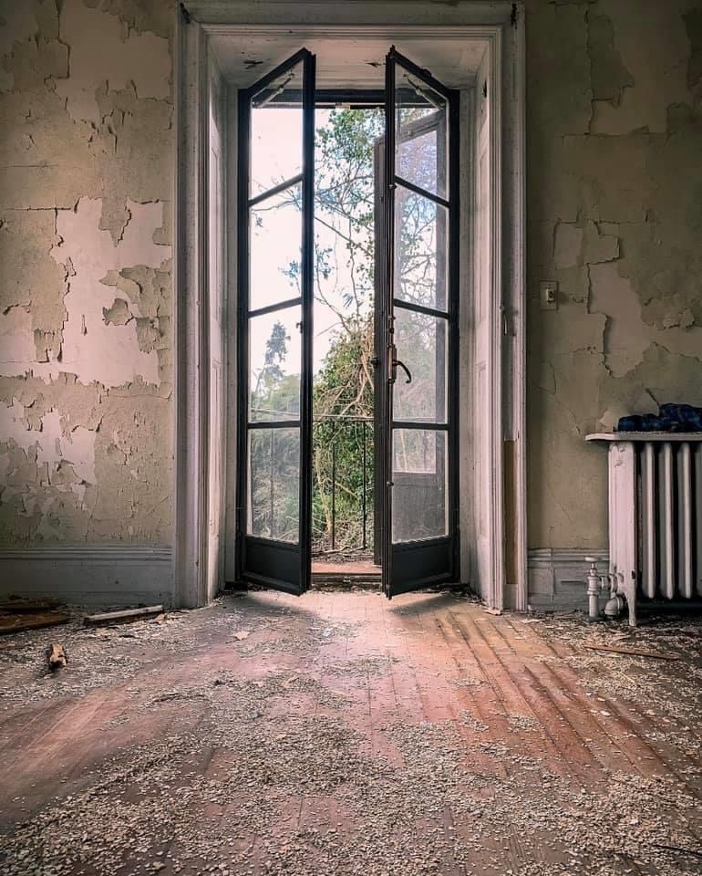 View Lonely Chaos by Mercedes Spinetti
