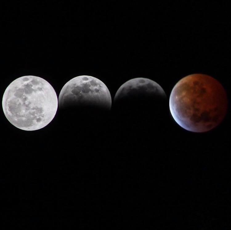 View Super Blood Wolf Moon by Mercedes Spinetti