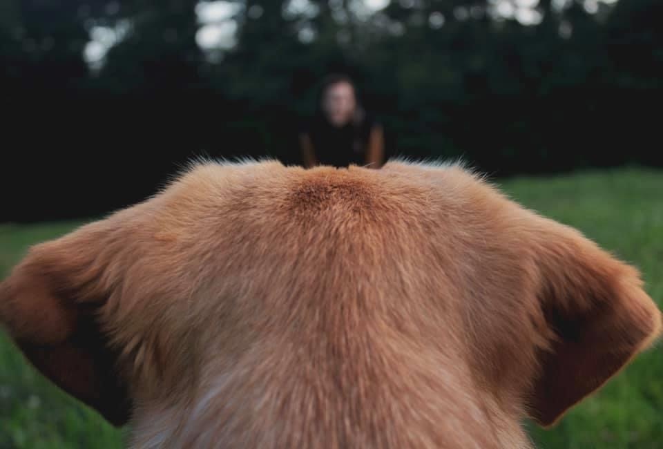 View Olive’s Perspective by Mercedes Spinetti