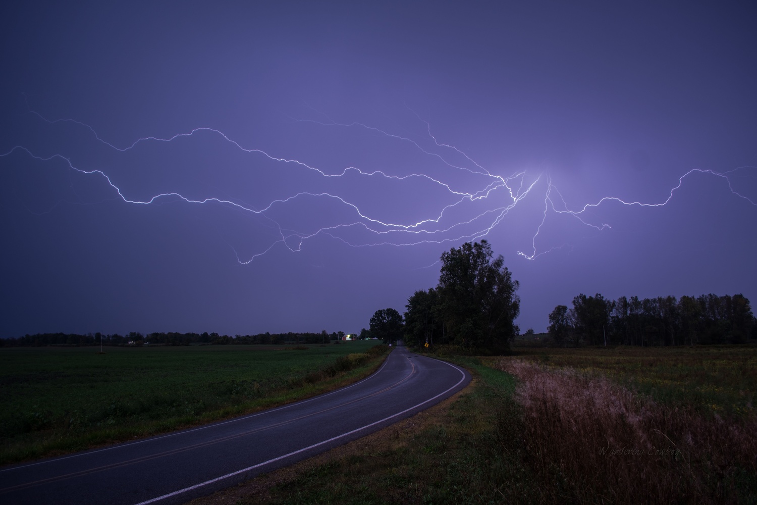 View Spider Lightning 000001 by Tony Ripley
