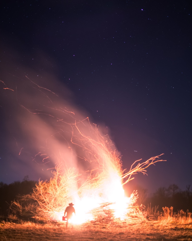View Man of Fire by Tony Ripley