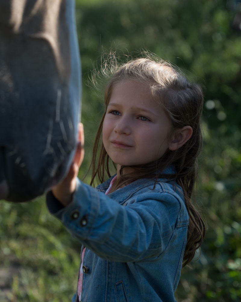 View Little Girl's Dream 00000001 by Tony Ripley