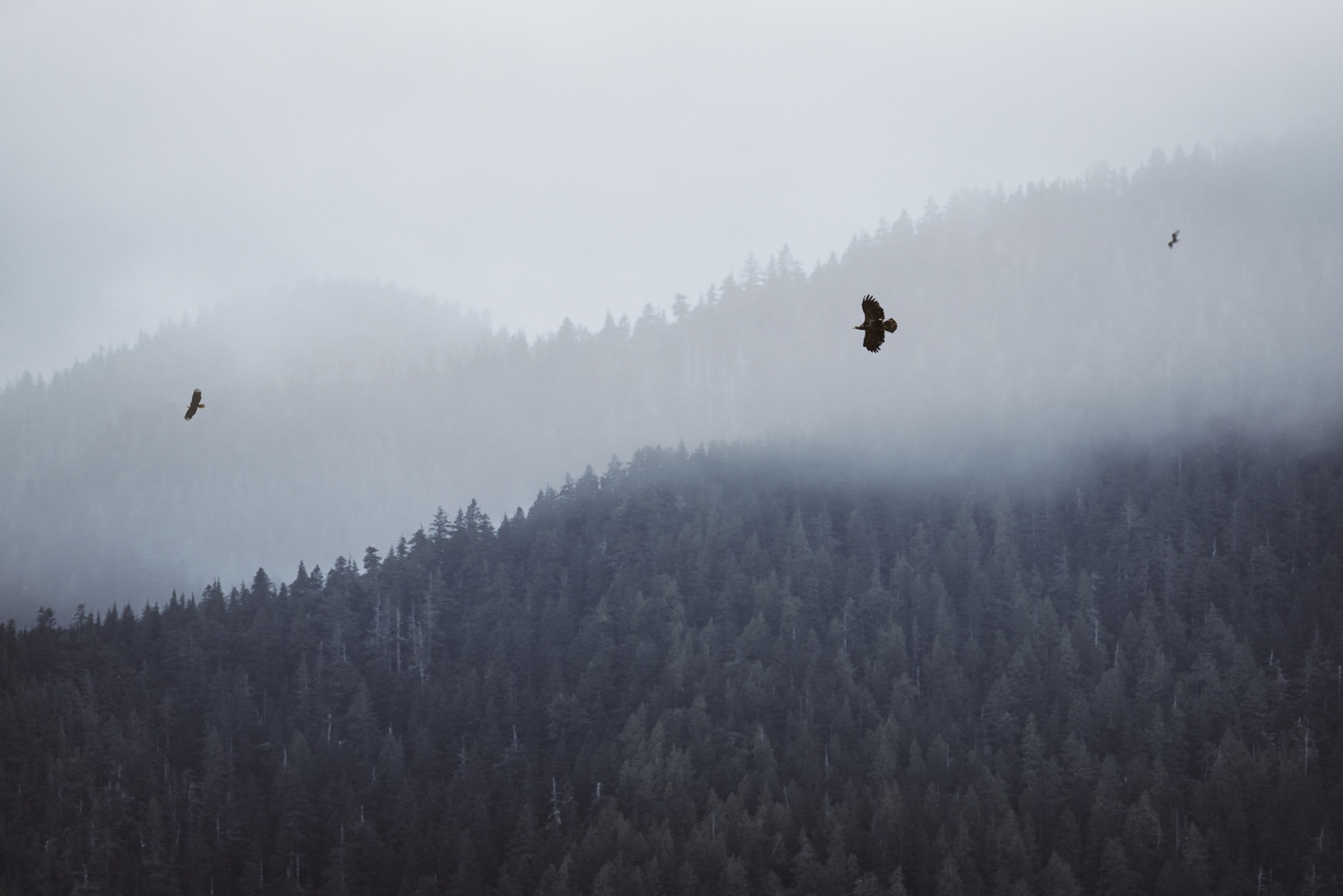 View Untitled 1 by Trevor Bowes