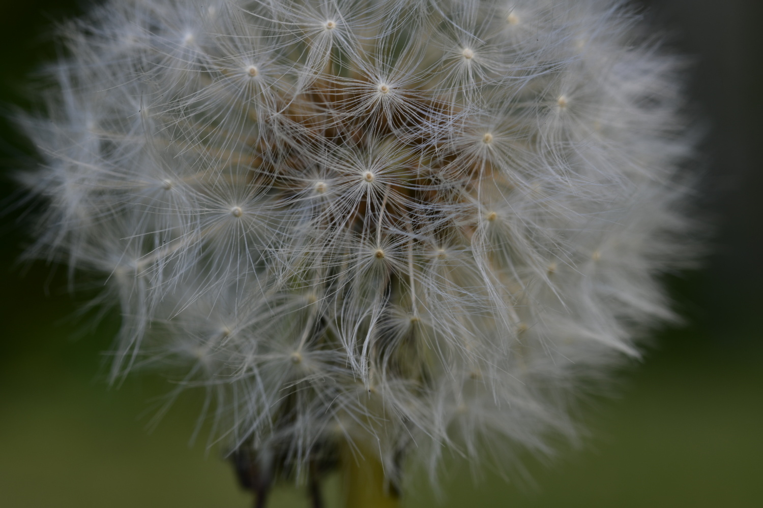 View Wish by Jeff Hicks