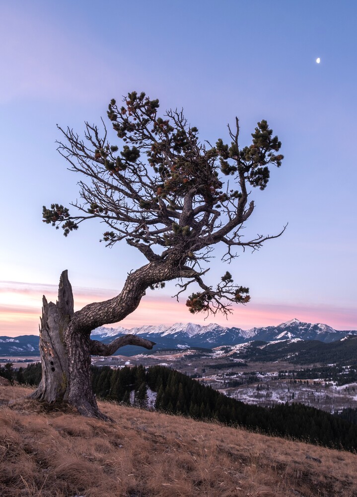 View Untitled 12 by Jack sugden