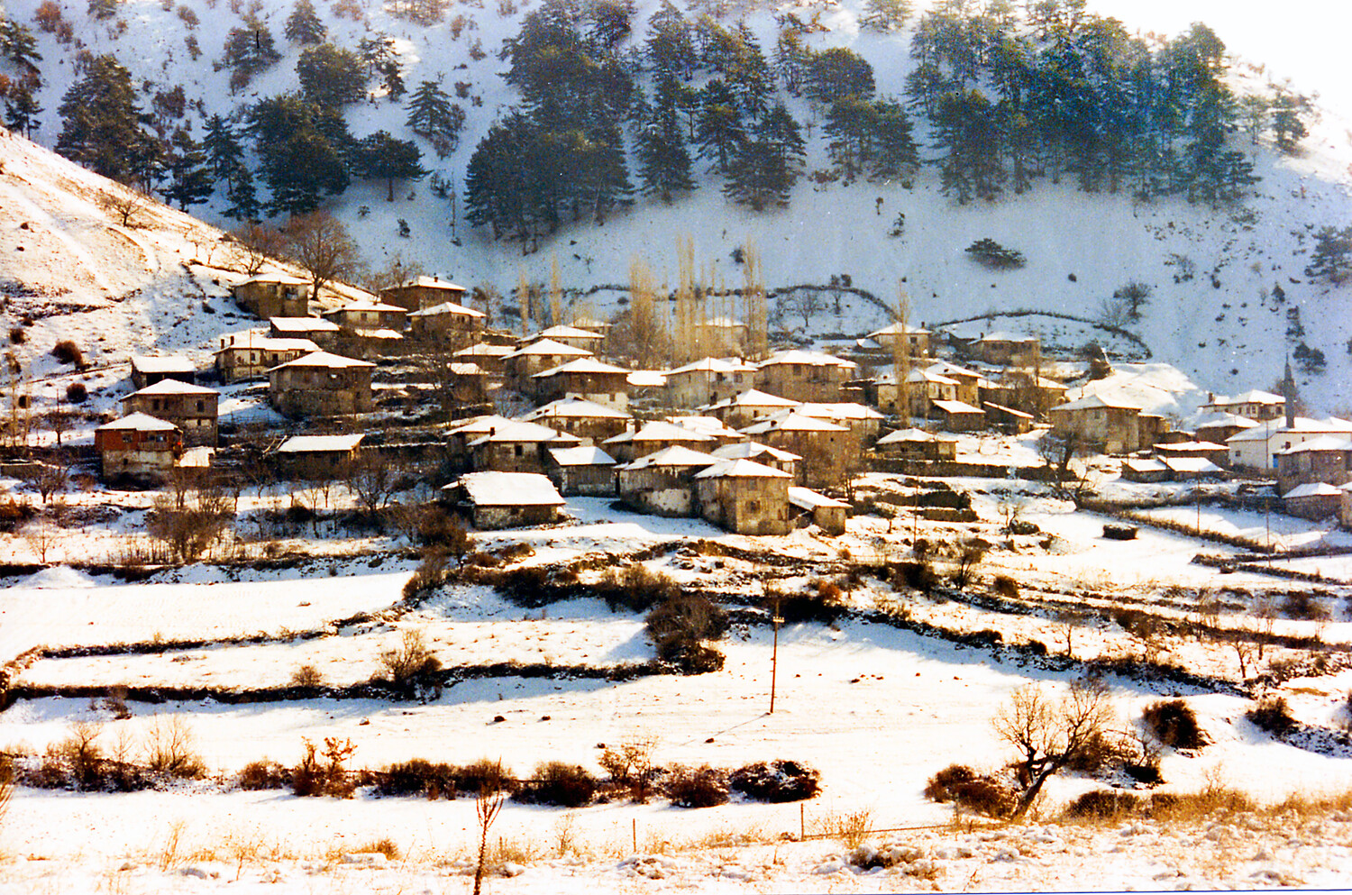 Snow-covered village nestled in a valley with forested mountains rising behind it