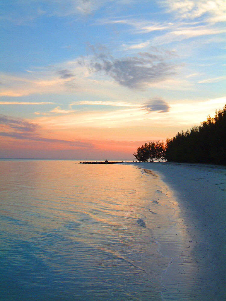 Frozen beach at sunset with evergreen forest silhouetted against golden and pink sky