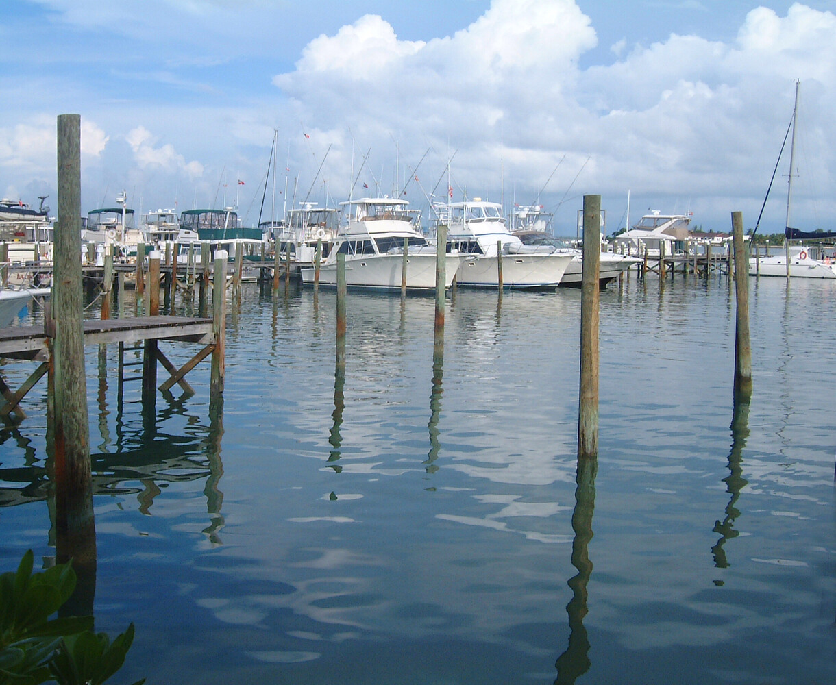 Moored boats at wooden pilings in calm harbor water with waterfront buildings