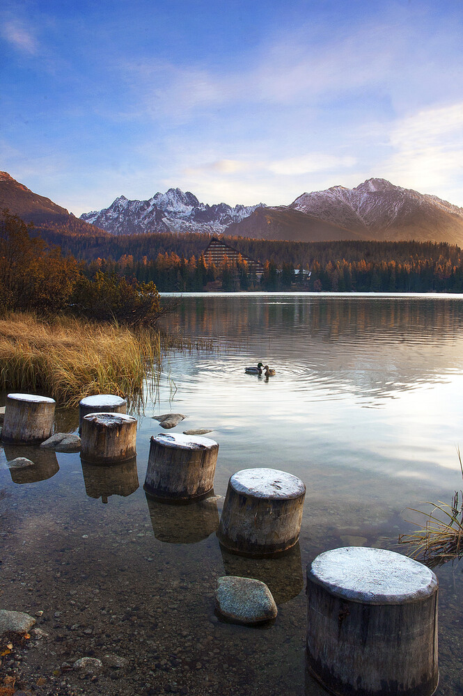 Weathered wooden stumps rising from a calm alpine lake, with snow-capped mountains and autumn trees under a soft pastel sky.